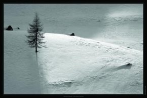 Královna zima - Fotograf roku - kreativita - Samotář