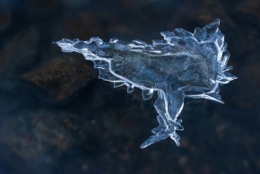 Královna zima - Kouzlo ledu V.