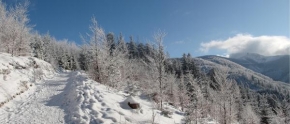 Královna zima - Cesta na Lysou horu