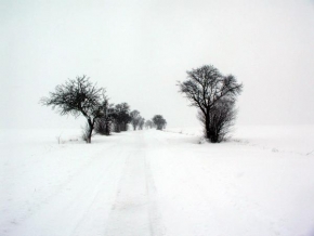 Královna zima - Skrytá cesta