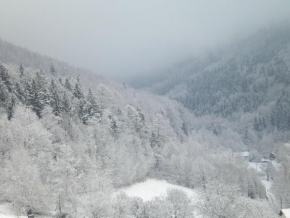 Královna zima - údolí pod Prašivou