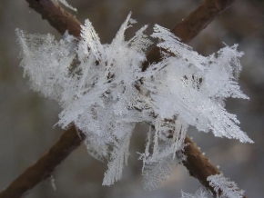 Královna zima - Sněhový krystal