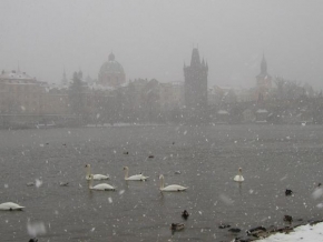 Královna zima - Sníh v Praze