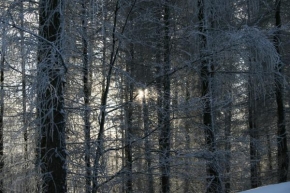 Královna zima - Slunce v zimě