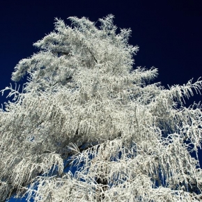 Martin Hansgut - Krása zimy