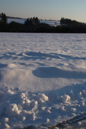 Blanka Přibylova - Sníh na poli