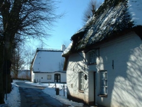 Královna zima - Danska zima