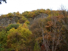 Stromy - Podzim na Slovensku