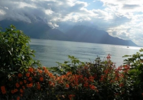 Úlovky z dovolené - "ženevské jezero"