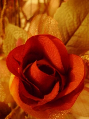 Půvaby květin - ..růže