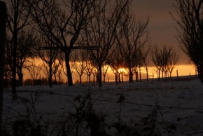 Po setmění - Slunce mezi stromy