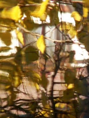 Fotograf roku v přírodě 2009 - Podzim za oknem